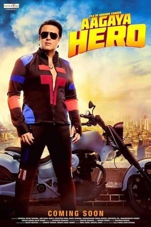 Aa Gaya Hero (2017) 300MB Full Movie pDVDRip Download