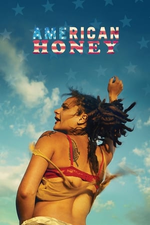 American Honey (2016) Hindi Dual Audio 480p BluRay 500MB