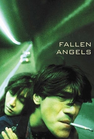 Angels Fallen 2020 Hindi Dual Audio 480p Web-DL 300MB
