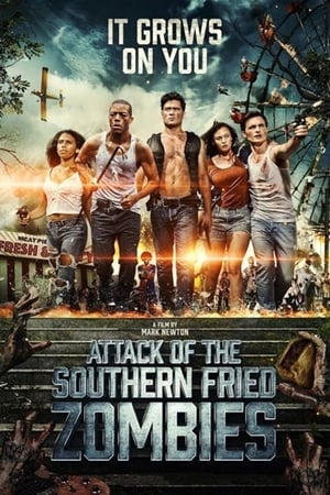 Attack of the Southern Fried Zombies (2017) Hindi Dual Audio 720p BluRay [800MB]