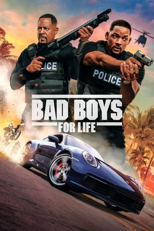 Bad Boys for Life (2020) Hindi (ORG) Dual Audio 720p BluRay [1.2GB]