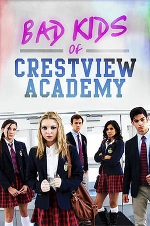 Bad Kids of Crestview Academy (2017) Hindi Dual Audio 480p Web-DL 330MB