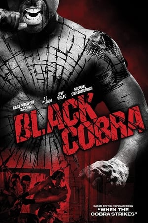 Black Cobra (2012) Hindi Dual Audio 480p BluRay 300MB