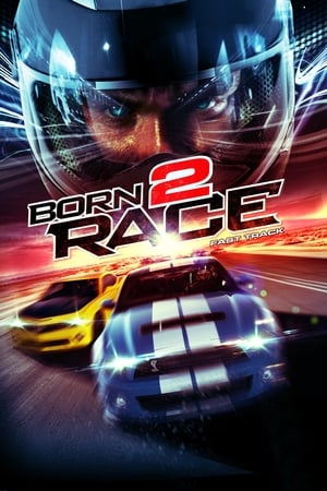 Born to Race Fast Track 2014 Hindi Dual Audio 720p BluRay [840MB]