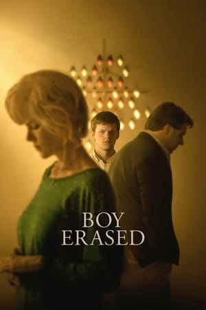 Boy Erased (2018) Hindi Dual Audio 480p BluRay 380MB