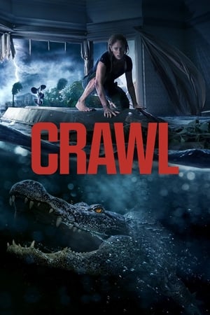 Crawl (2019) Hindi Dual Audio 480p Web-DL 300MB