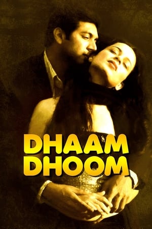 Dhaam Dhoom 2008 Dual Audio [Hindi - Tamil] 430MB UnCut 480p HDRip Download