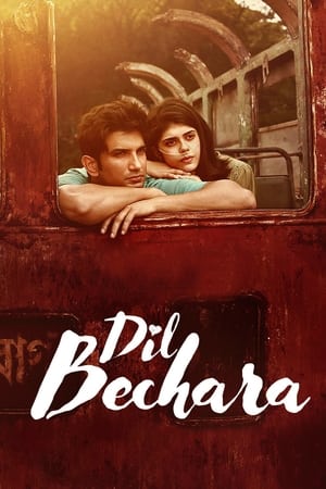 Dil Bechara (2020) Hindi Movie 720p HDRip x264 [1.1GB]