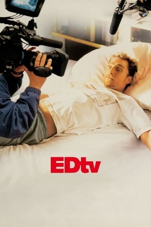 Edtv (1999) Hindi Dual Audio 480p BluRay 350MB