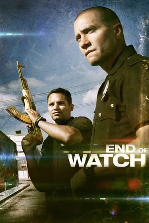 End of Watch (2012) Hindi Dual Audio 720p BluRay [740MB]