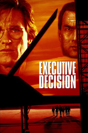 Executive Decision (1996) Hindi Dual Audio 720p BluRay [1GB]