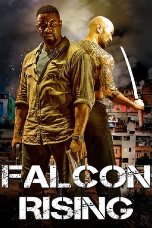 Falcon Rising (2014) Hindi Dual Audio 480p BluRay 300MB