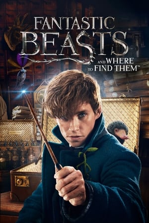 Fantastic Beasts and Where to Find Them 2016 Dual Audio (Hindi) BluRay 720p [1.1 GB]