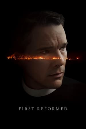 First Reformed 2017 Hindi Dual Audio 480p BluRay 350MB
