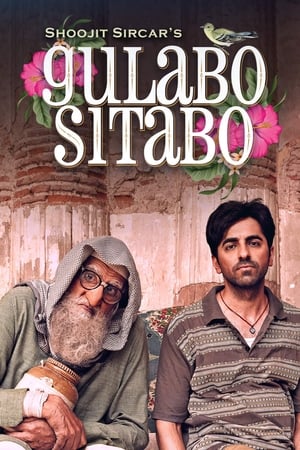 Gulabo Sitabo 2020 Hindi Movie 720p HDRip x264 [980MB]