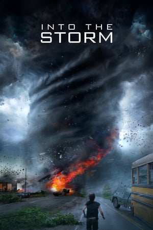 Into the Storm (2014) Hindi Dual Audio 480p BluRay 300MB