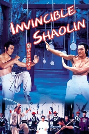 Invincible Shaolin 1978 Hindi Dual Audio 480p BluRay 300MB