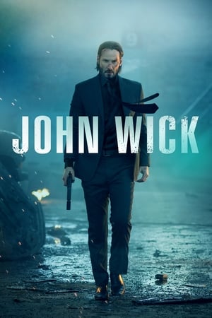 John Wick (2014) Hindi Dual Audio 480p BluRay 300MB ESubs