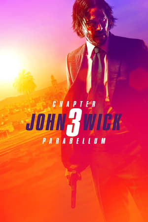 John Wick Chapter 3 Parabellum (2019) Hindi Dubbed 480p BluRay 370MB