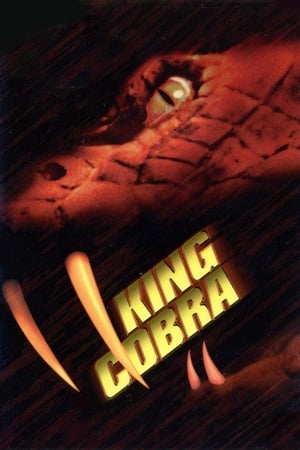 King Cobra 1999 Hindi Dual Audio 720p Web-DL [1GB]