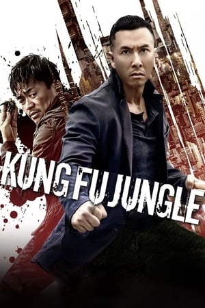 Kung Fu Jungle (2014) Hindi Dual Audio 720p BluRay [800MB]