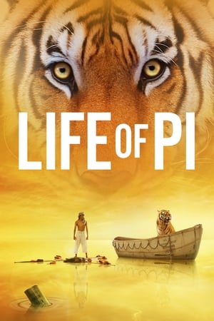 Life of Pi (2012) Hindi Dual Audio 480p BluRay 380MB
