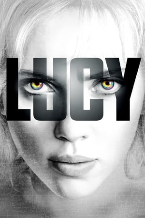 Lucy (2014) Hindi Dual Audio 480p BluRay 300MB