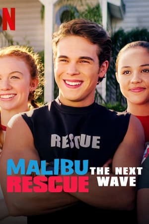 Malibu Rescue: The Next Wave (2020) Hindi Dual Audio 480p Web-DL 230MB