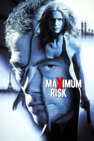 Maximum Risk (1996) Hindi Dual Audio 720p BluRay [850MB]