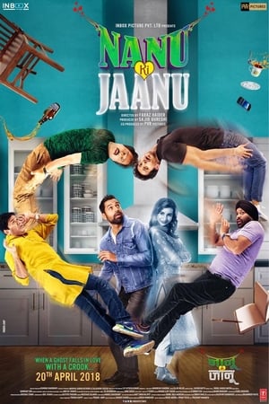 Nanu Ki Jaanu (2018) Movie 480p HDRip – [400MB]