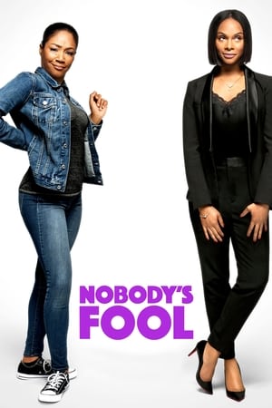 Nobody's Fool (2018) Hindi Dual Audio 480p BluRay 360MB