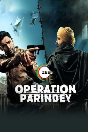 Operation Parindey 2020 Hindi Movie 480p HDRip - [200MB]