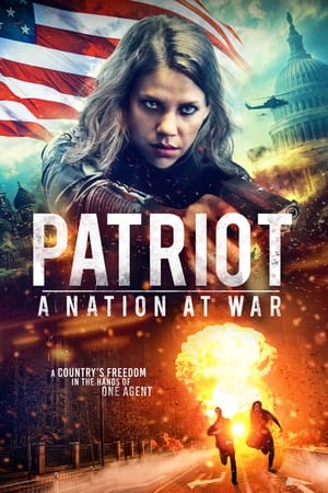 Patriot A Nation at War 2020 Hindi Dual Audio 480p Web-DL 300MB