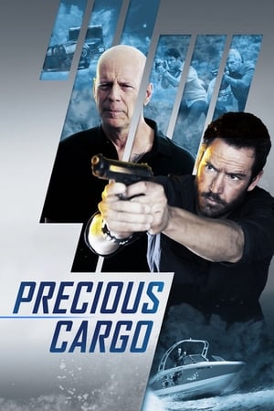 Precious Cargo (2016) Hindi Dual Audio 720p BluRay [920MB]