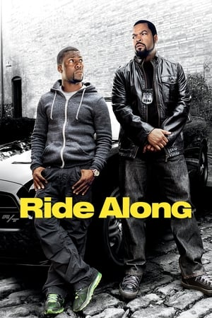 Ride Along (2014) Hindi Dual Audio 720p BluRay [890MB]