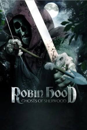 Robin Hood: Ghosts of Sherwood (2012) Hindi Dual Audio 720p BluRay [1GB]