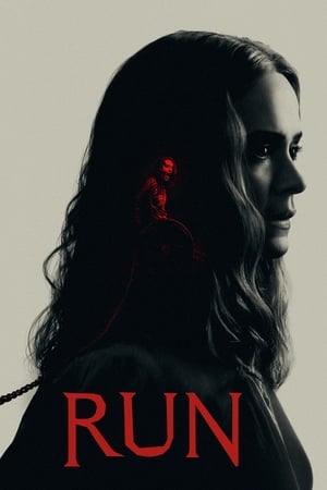 Run (2020) Hindi Dual Audio 480p BluRay 300MB