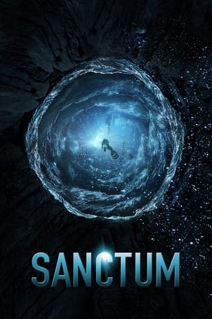 Sanctum (2011) Hindi Dual Audio 480p BluRay 300MB