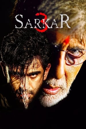 Sarkar 3 2017 Full Movie DVDRip 720p [700MB] Download