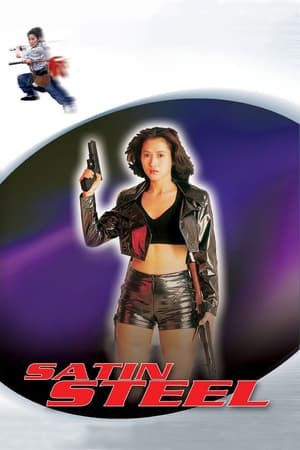 Satin Steel (1994) Hindi Dual Audio 480p Web-DL 260MB