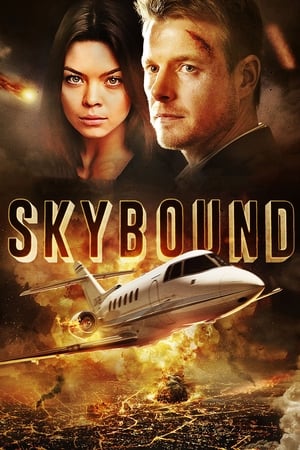 Skybound (2017) Hindi Dual Audio 720p BluRay [1.2GB]