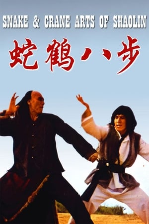 Snake and Crane Arts of Shaolin 1978 Hindi Dual Audio 720p BluRay [980MB]