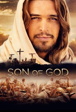 Son of God 2014 Hindi Dual Audio 480p BluRay 450MB