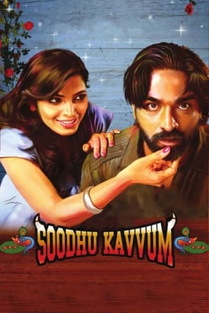 Soodhu Kavvum (2013) (Hindi – Tamil) Dual Audio 480p UnCut HDRip 450MB