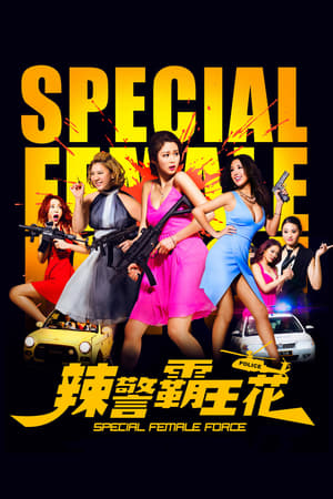 Special Female Force (2016) Hindi Dual Audio 480p BluRay 330MB