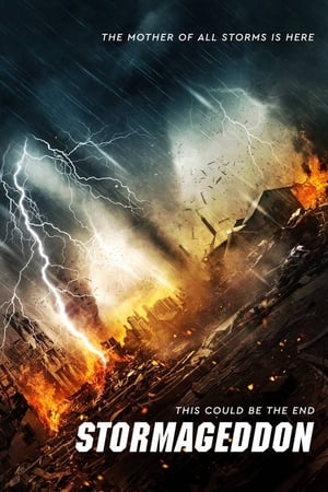 Stormageddon (2015) Hindi Dual Audio 480p BluRay 290MB