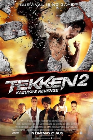 Tekken Kazuyas Revenge 2014 Hindi Dual Audio 720p BluRay [900MB]
