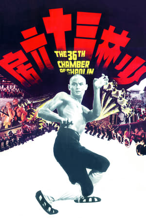 the 36th Chamber of Shaolin 1978 Hindi Dual Audio 480p BluRay 360MB