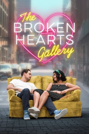 The Broken Hearts Gallery (2020) Hindi Dual Audio 720p Web-DL [1GB]