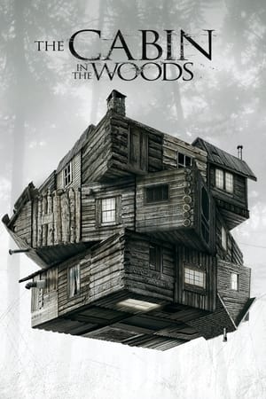 The Cabin in the Woods 2012 Dual Audio Hindi 720p BluRay [800MB] ESubs